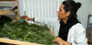 STyFE publica segunda convocatoria para apoyar a cooperativas de la CDMX