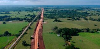 Otorgan tres suspensiones definitivas contra el Tren Maya en Yucatán