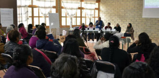 Mujeres ocupan solo 21% de cargos en ejidos y 17% en comunidades: Consejo para la Silvicultura