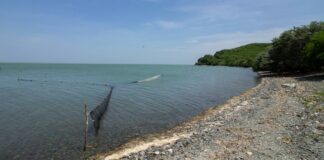 Asambleas comunitarias de San Mateo del Mar revocan mandato a presidente municipal