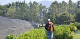 La Economía Social y Solidaria una práctica alternativa en proceso de construcción