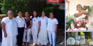Cooperativa de mujeres oaxaqueñas recupera conocimientos de medicina tradicional