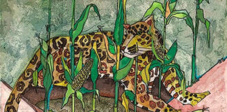 Se presenta el libro Maíz, transgénicos y transnacionales