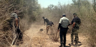 Localizan en Vícam, Sonora, cuerpo que podría ser del líder yaqui Tomás Rojo