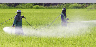 El decreto presidencial contra glifosato acorde al derecho internacional: Greenpeace