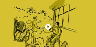 “El Canario”, por Trío Son de Altura (Puebla) #música