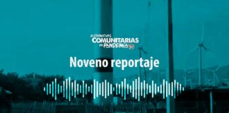 El cuidado de la casa de todos #reportaje