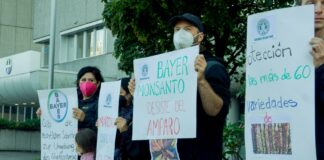 Suprema Corte rechaza amparos de trasnacionales para sembrar maíz transgénico