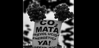 Reforma Eléctrica de AMLO cancela proyectos de generación comunitaria: Greenpeace México