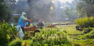 Celebrarán Encuentro Nacional de Economía Social y del Cooperativismo