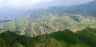 Corte reconoce a Oaxaca la disputa de 160 mil hectáreas de bosque de los Chimalapas