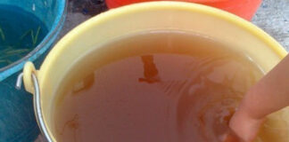 Relator de la ONU ve factible que en todas las llaves de México salga agua potable