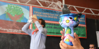 El Foro Tianguis Alternativo Ecológico festeja 10 años