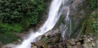 Proyectos hidroeléctricos amenazan territorios indígenas en Oaxaca