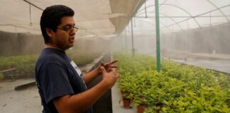 CDMX publica reglas de operación de programa que apoya a cooperativas