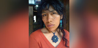 Lanzan campaña para encontrar a la defensora Irma Galindo