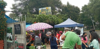 Se prepara el Huerto Tlatelolco para la Feria Multitrueke
