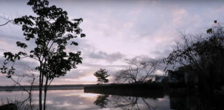 Exigen que cenotes mayas sean reconocidos como sujetos de derecho