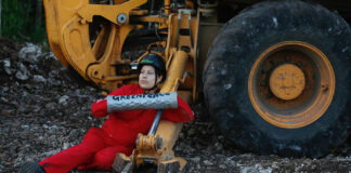 Greenpeace “inmoviliza” trabajos del tramo 5 del Tren Maya