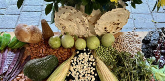 Reflexionando con Gustavo Esteva