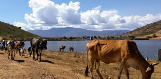 Informe evidencia violaciones a derechos humanos por la minería en Valles Centrales de Oaxaca