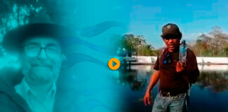 Granjas porcícolas de Kekén contaminan agua de la Península de Yucatán