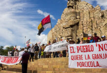 Mega granja porcina en Yucatán seguirá cerrada