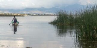 Irrumpen en casa de defensores del territorio en Puebla