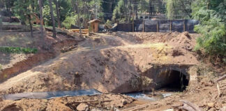 Niegan permisos ambientales a obra vial en Edomex, aún así derriban árboles