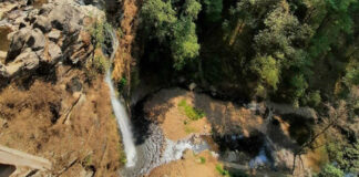 Pueblos protegen bosques y agua con turismo equilibrado en Amanalco