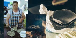 Industria mexicana de maíz y tortillas refrenda rechazo a transgénicos