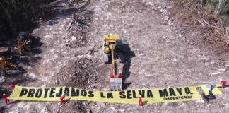 Juez ordena suspensión provisional en tramo 5 del Tren Maya en Yucatán