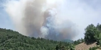 Región Mixe enfrenta incendios y escasez de agua en Oaxaca
