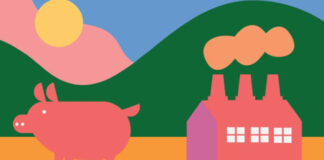 Ambientalistas publican la Declaración de América sin mega fábricas de cerdos