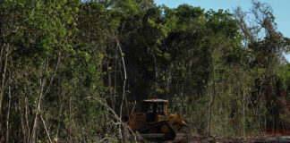 Otorgan suspensión definitiva al tramo 5 del Tren Maya