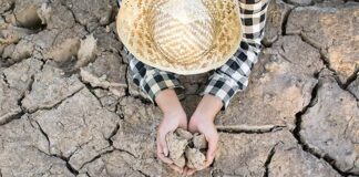 Conagua declara emergencia por sequía severa a extrema