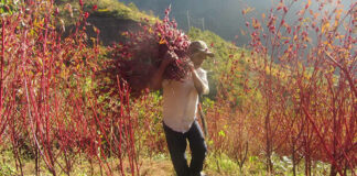 Ciriec invita a reflexionar sobre problemáticas de las cooperativas