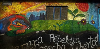 Detienen a defensor purépecha de Nahuatzen, Michoacán