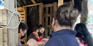 Jornada de Tequio en Comunidad Nueva, de la Ciudad de México