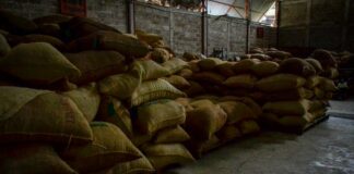 Nestlé desplazará producción cafetalera en México: organizaciones campesinas