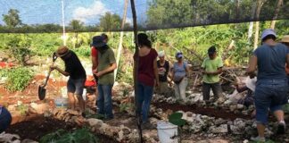 Eco Tianguis de Cancún promotor de la agroecología y el trueque