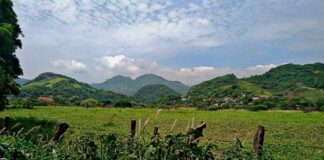 Asamblea de los Chimalapas rechaza convertir la selva en Reserva de Biósfera Federal
