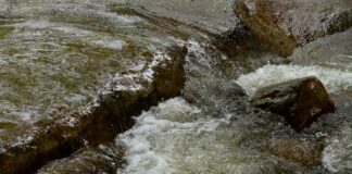 Monitoreo del agua para la defensa del territorio en Oaxaca
