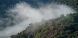 SCJN reconoce legitimidad de organizaciones a defender el medio ambiente