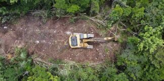 Otorgan segunda suspensión definitiva al Tramo 5 del Tren Maya