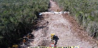 Juez niega suspensión definitiva al tramo 5 del Tren Maya, pero la concede en el tramo norte