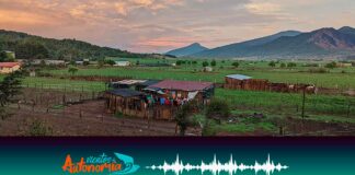 La autonomía no es una meta, es un camino #Reportaje