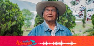 Autonomías purépechas, regresar a autogobernarse #Reportaje