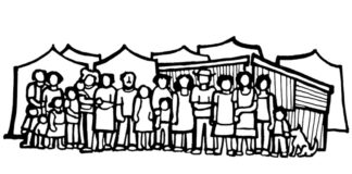 El magonismo y la asamblea