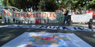 Almaden Minerals busca reactivar proyecto minero en Ixtacamaxtitlán